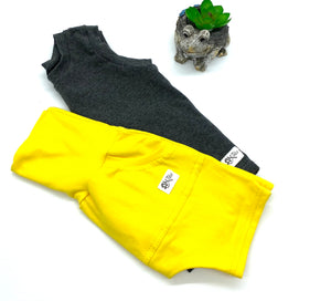 Short evolutif « J’adore le soleil  »