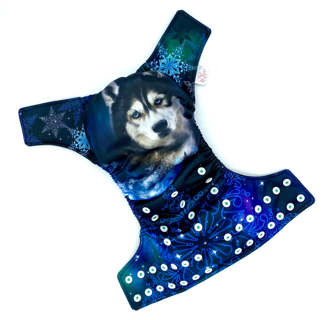 Husky d’hiver