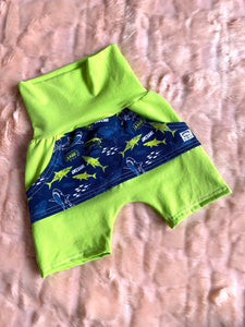 Short evolutif vert requins