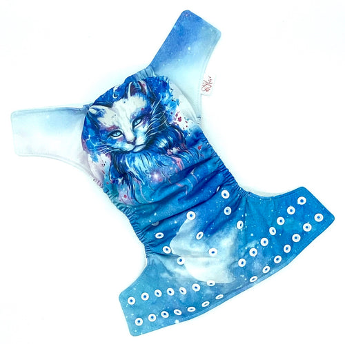 Chat des étoiles
